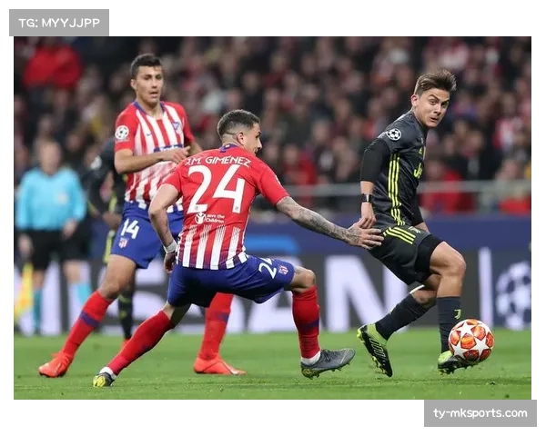 劳资谈判僵局反映女子职业体育发展困境，经济效益与球员权益如何平衡